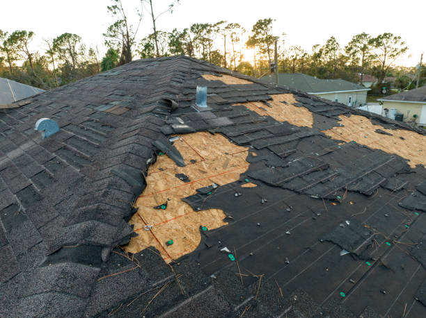 Best Cold Roofs  in Magalia, CA