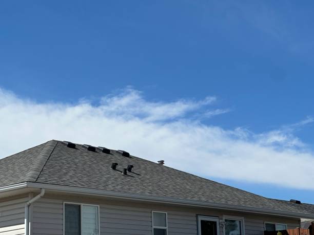 Best Metal Roofing Installation  in Magalia, CA